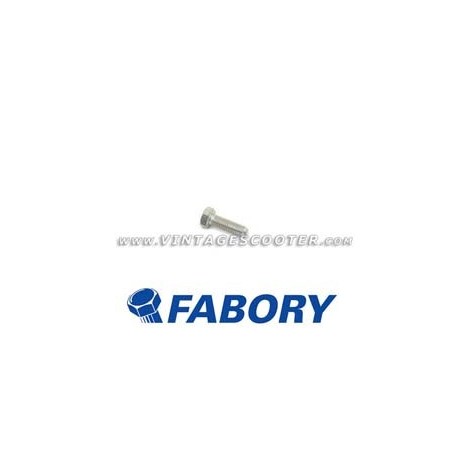 Boulon  M 5 mm L 15 mm zingué FABORY